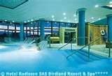 radisson3.jpg